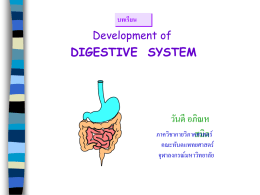 Development of digestive system
