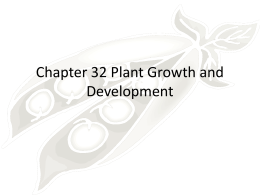 Chapter 32 Plant Growth and Development