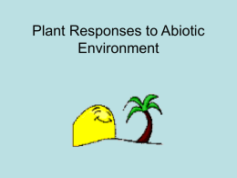 Plant Responses to Abiotic Environment