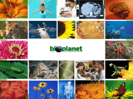 Prezentare Bioplanet - septembrie 2013 (1).