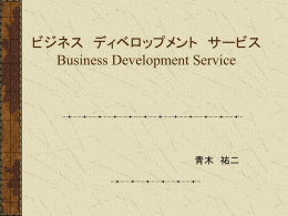 ビジネス ディベロップメントサービス BDS