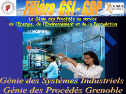2011-01-21-presentation-IUT-GTE-Grenoble