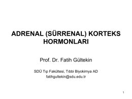 Adrenal Korteks Hormonları