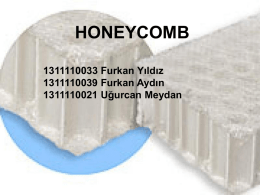 Bal Peteği(honeycomb) Kompozitler