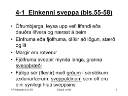Sveppir (bls.55-67)