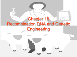 Chapter 16 Recombination DNA and Genetic Engineering