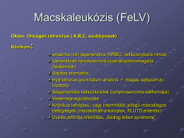 Macskaleukózis (FeLV)