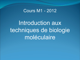 File - Cours M1 UE7 Biologie moléculaire de la cellule