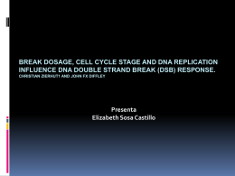 Break dosage, cell cycle stage and DNA M
