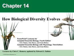 Lecture Slides