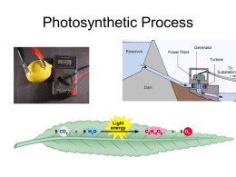 Photosynthesis