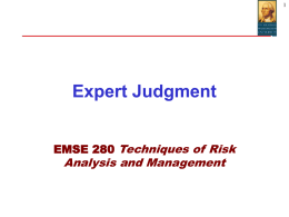 Expert Judgement