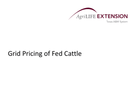 Cattle Pricing Method