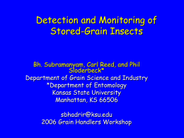Detection and Monitoring of Stored-Grain Insects