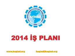 Bagiad 2014 İş ve Eylem Planı
