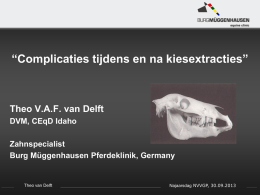 Presentatie NVVGP 2013