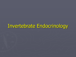 endocrinology(www.mahmoudvand.ir