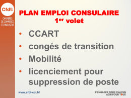 Plan d`Emploi Consulaire 1er volet - Personnel-CCIP