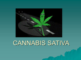 Cannabis - Web del Profesor