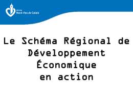 Le Schéma Régional de Développement Économique en action