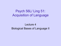ppt