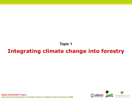 Powerpoint presentation (PPT file)