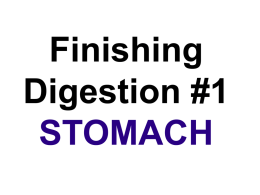 Digestion in the stomach