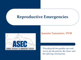 Reproductive-Emergencies