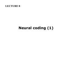 Neural coding
