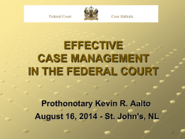Effective Case Management in the Federal Court