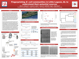 Fingerprinting E. coli communities in Little Lagoon, AL to understand