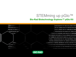 pGLO — STEM It Up! - Bio-Rad