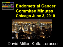 Endometrial Cancer Committee - David Miller & Ketta Lorusso