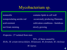 Mycobacterium 2