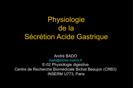 Sécrétion Acide Gastrique