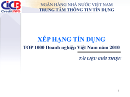 Xếp hạng tín dụng TOP 1000 doanh nghiệp Việt Nam năm 2010