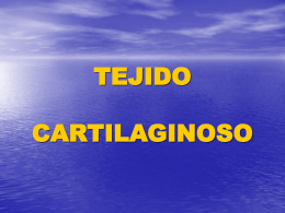 TEJIDO_CARTILAGINOSO_Y_OSEO