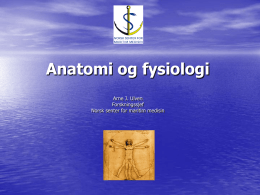 Ulven - STCW Anatomi og fysiologi