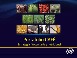 portafolio_ppt_cafe