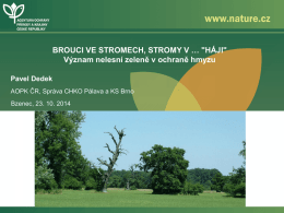 Ochrana dřevin z pohledu entomologa (P. Dedek, AOPK ČR)