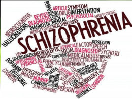 Skizophrenia – Farter 1