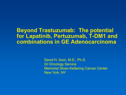 Beyond trastuzumab – the potential roles for lapatinib