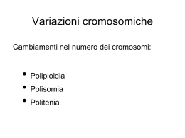 Presentazione di PowerPoint - e