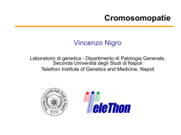 Slide 1 - vincenzonigro.it