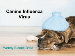 Canine Influenza PowerPoint
