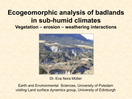 Ecogeomorphic analysis of badlands in sub