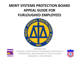 Merit Systems Protection Board Furlough Appeal Guide