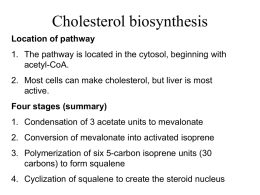 Cholesterol Biosynthesis