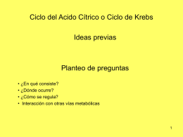 Ciclo De Krebs.