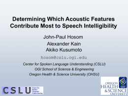 Determining Which Acoustic Features Contribute Most to Speech